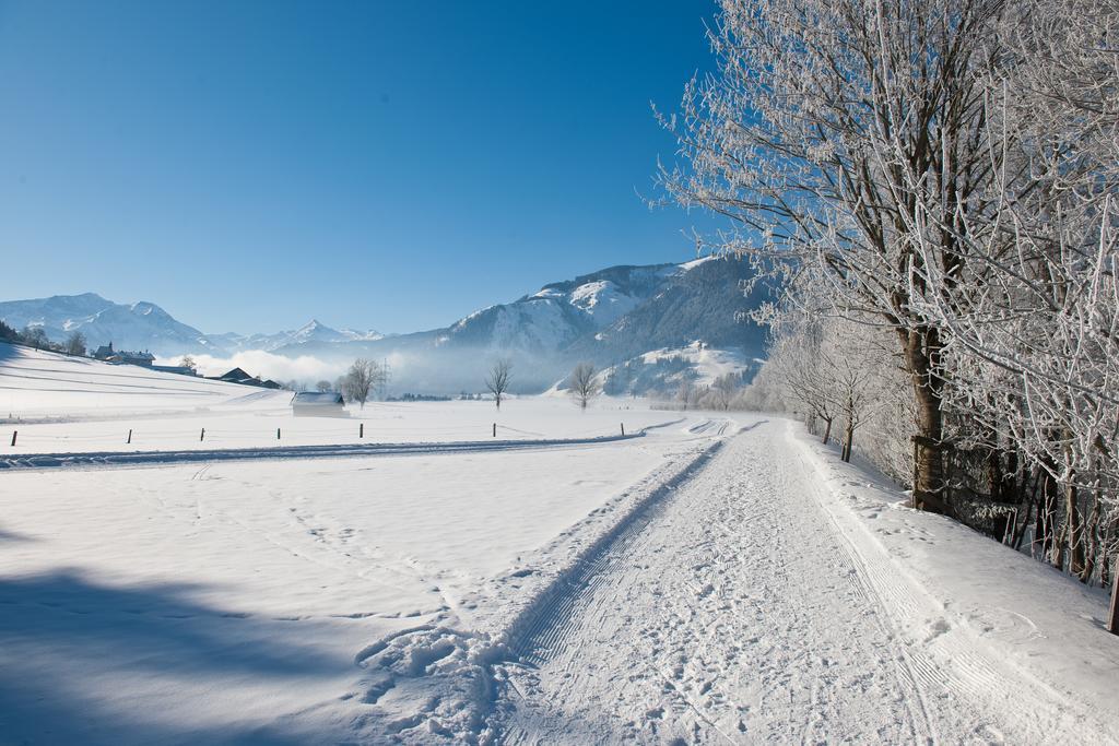 Chaletdorf Zellersee Майсхофен Экстерьер фото